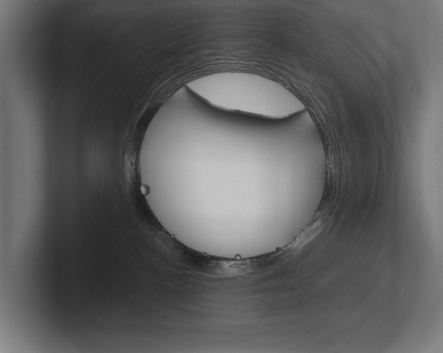 X0000102390188200808010942