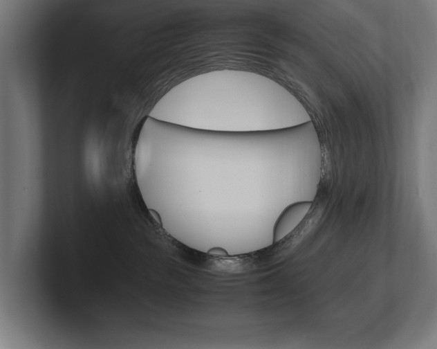 X0000102390189200808010942