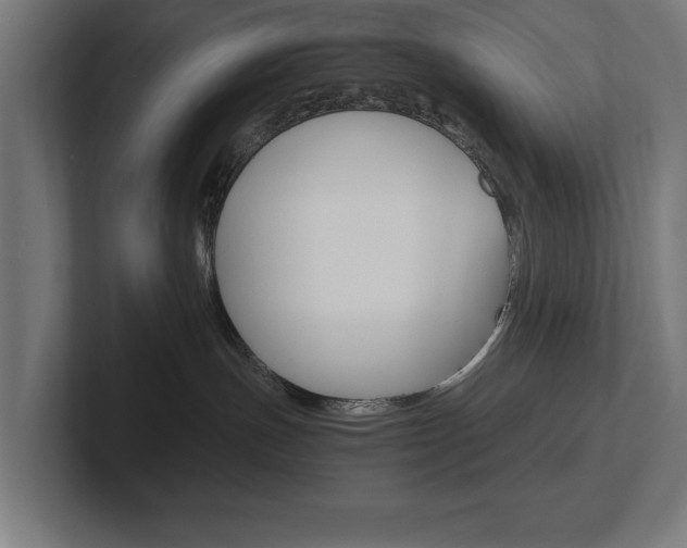 X0000102390191200808010942