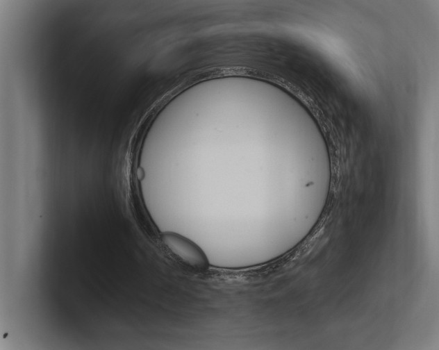 X0000102390194200808010941