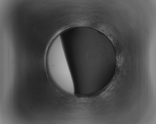 X0000102390196200808010941