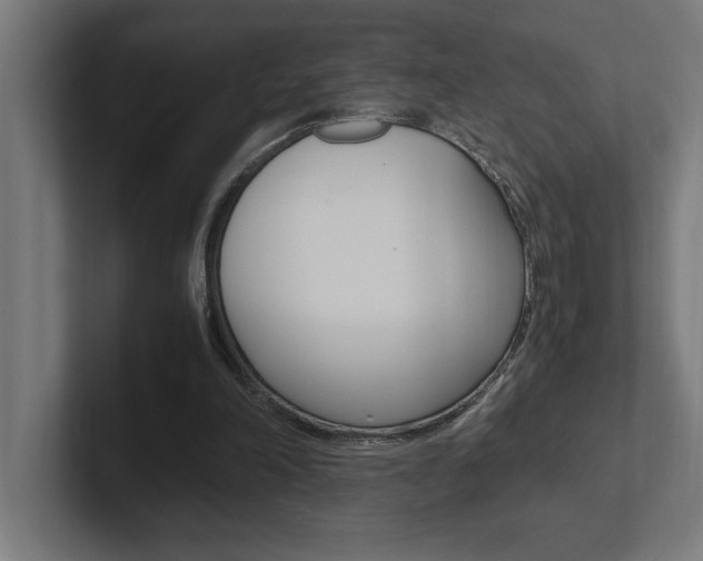 X0000102390198200808010941