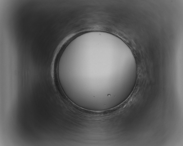 X0000102390200200808010941