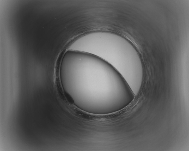 X0000102390203200808010941