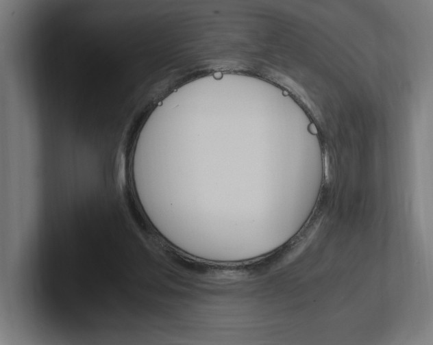 X0000102390205200808010941