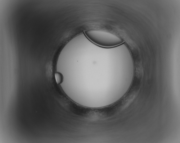 X0000102390207200808010941