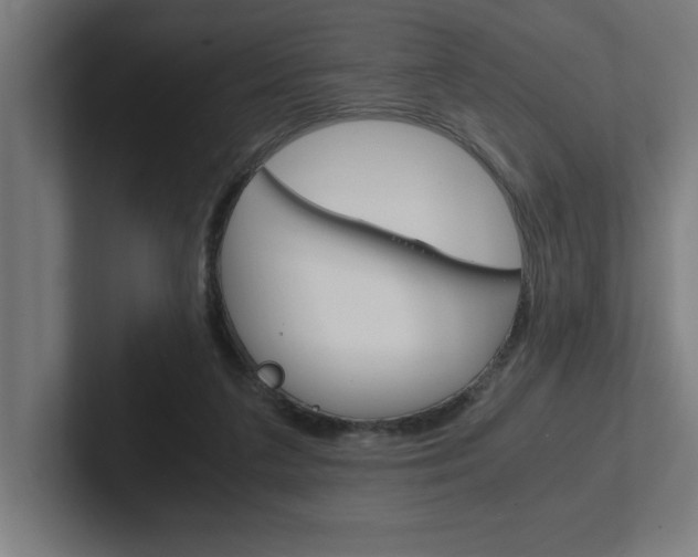 X0000102390211200808010941