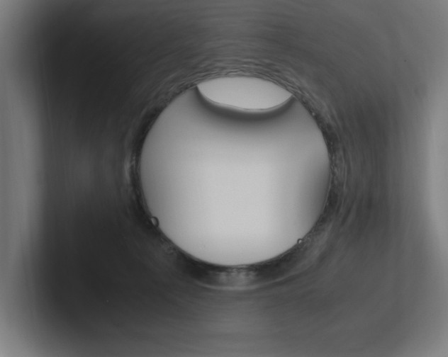 X0000102390225200808010941