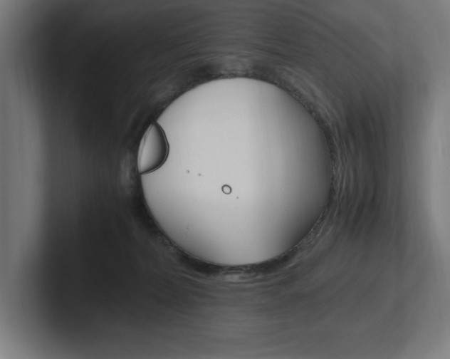 X0000102390228200808010941