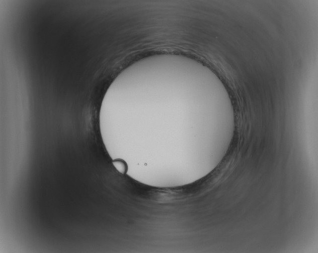 X0000102390229200808010941