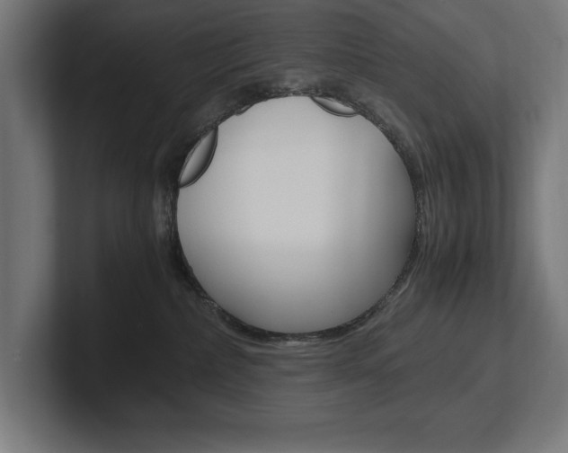 X0000102390236200808010941