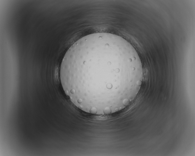 X0000102390238200808010941