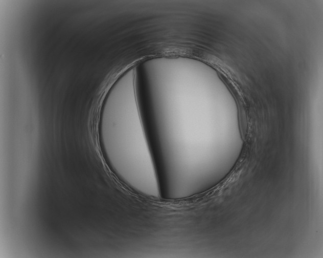 X0000102390241200808010940