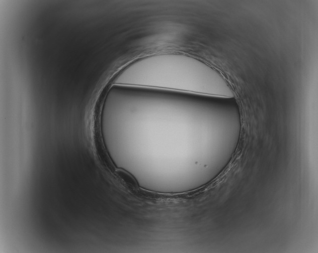 X0000102390242200808010940