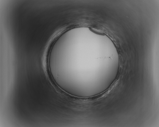 X0000102390245200808010940