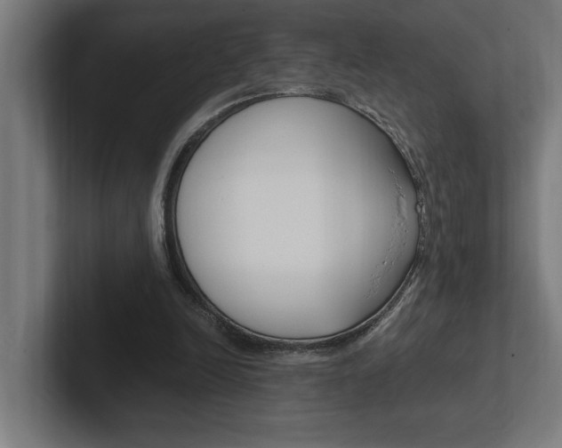 X0000102390246200808010940