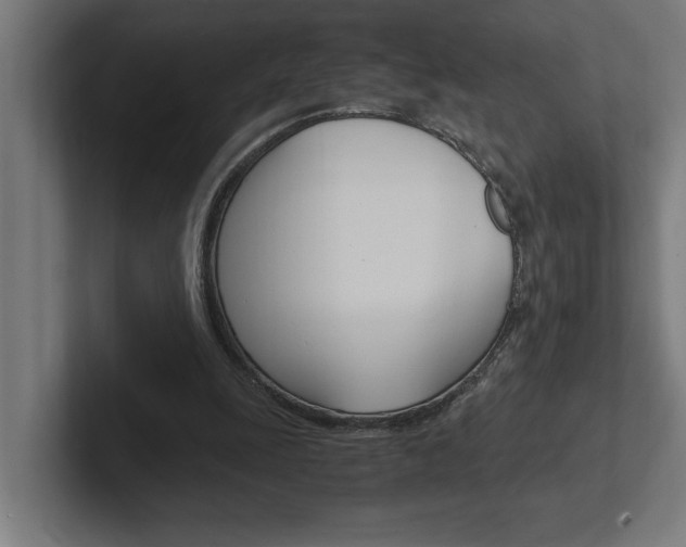 X0000102390247200808010940