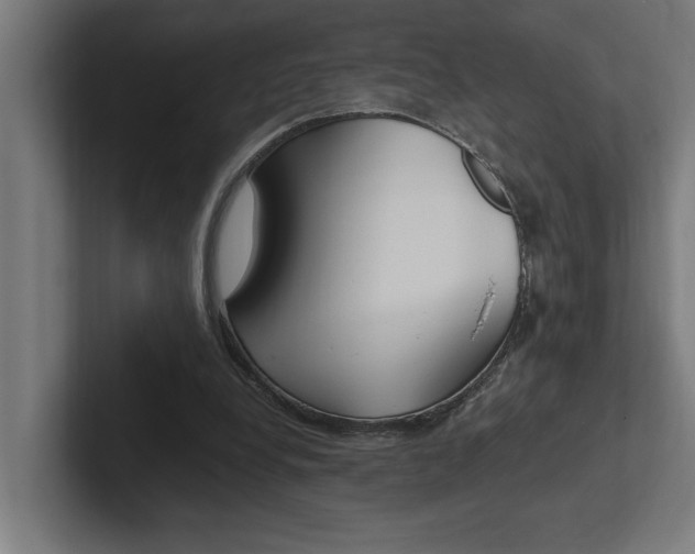 X0000102390248200808010940