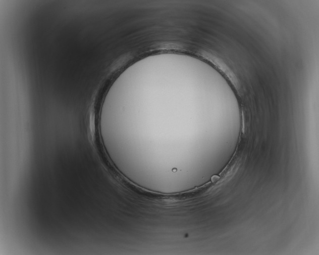 X0000102390253200808010940