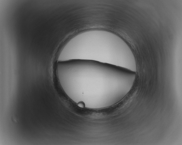 X0000102390256200808010940