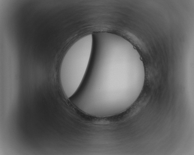 X0000102390258200808010940