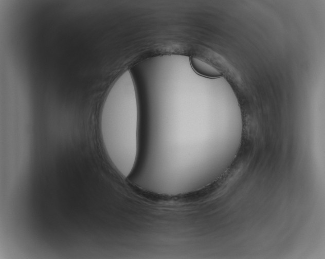 X0000102390259200808010940