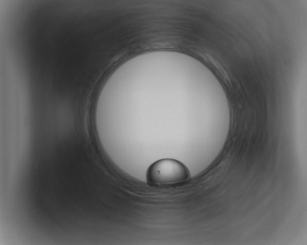X0000102390260200808010940