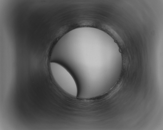 X0000102390261200808010940