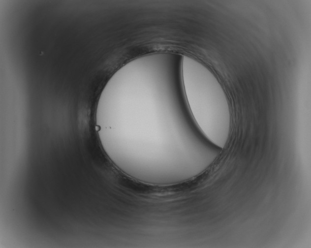 X0000102390263200808010940