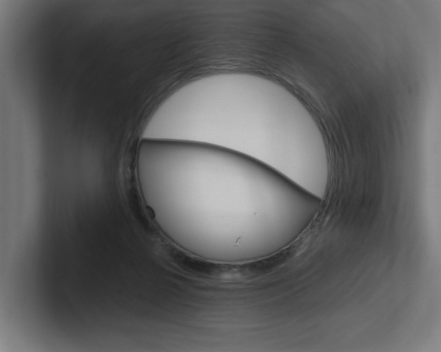 X0000102390264200808010940