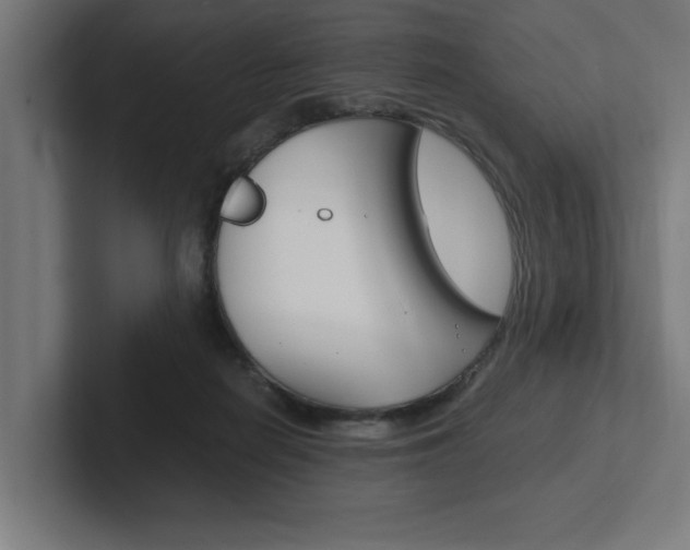 X0000102390266200808010940