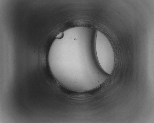 X0000102390267200808010940