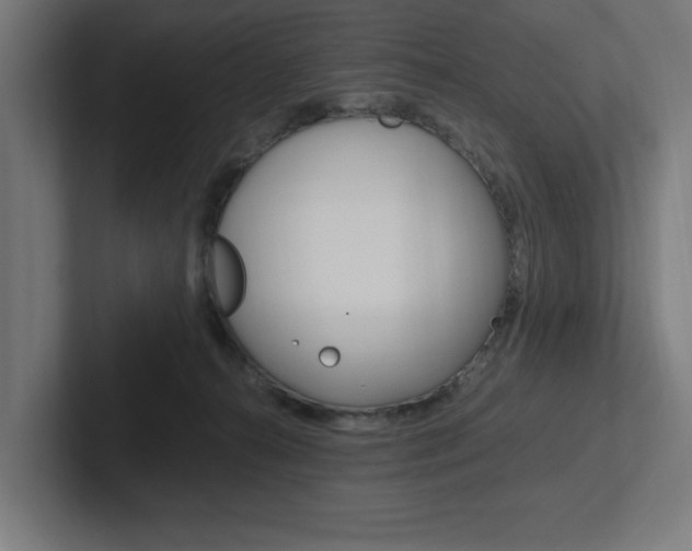 X0000102390272200808010940