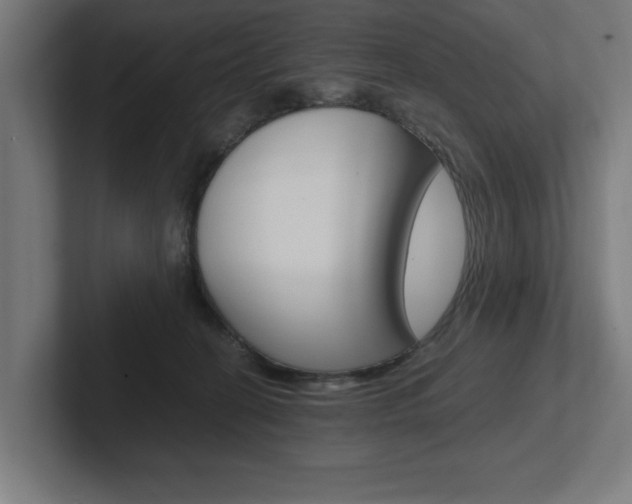 X0000102390274200808010940