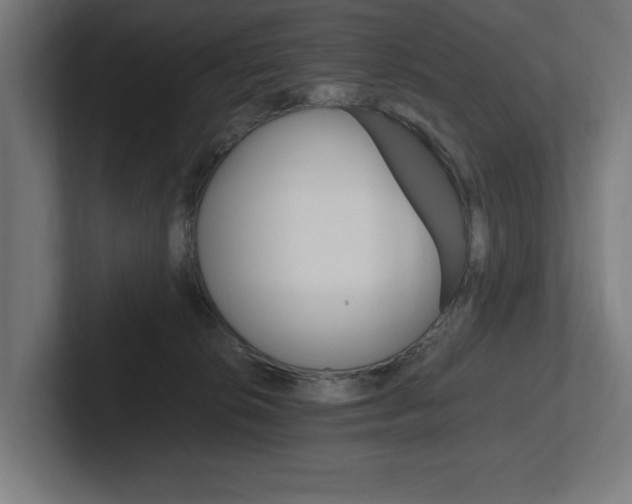 X0000102390276200808010940