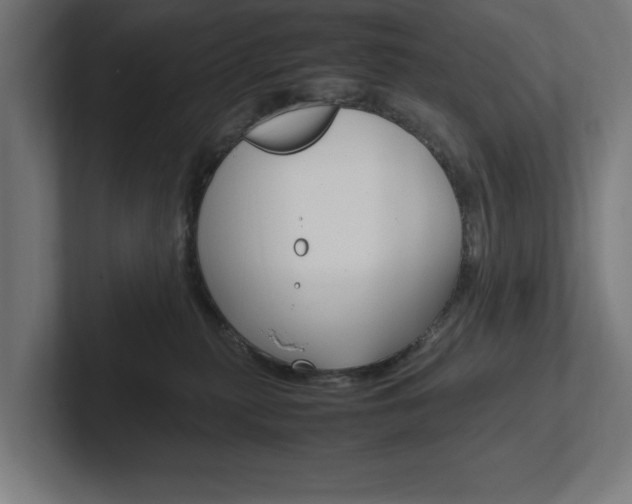 X0000102390279200808010941