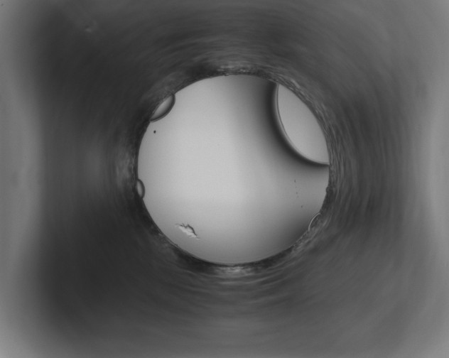 X0000102390281200808010941