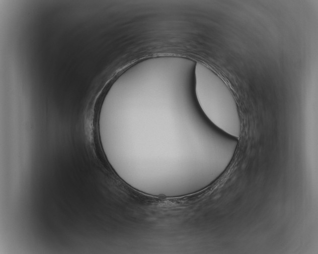 X0000102390290200808010940