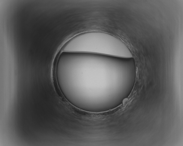 X0000102390292200808010940