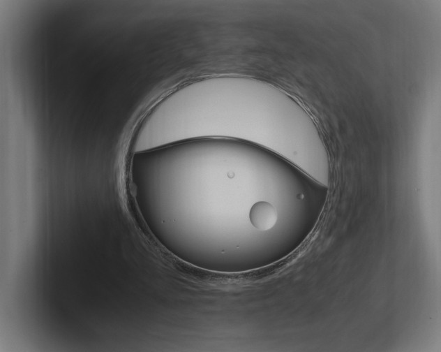 X0000102390293200808010940