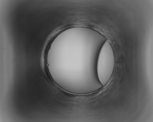 X0000102390294200808010940