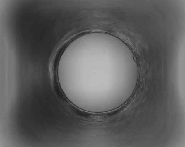 X0000102390295200808010940