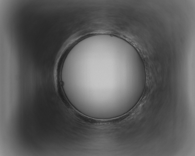 X0000102390296200808010940