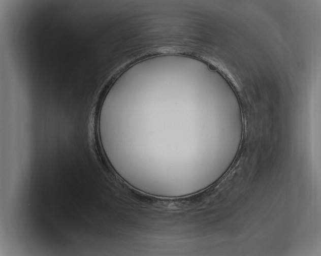 X0000102390297200808010940