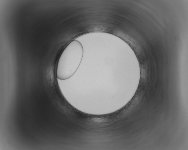 X0000102390302200808010940