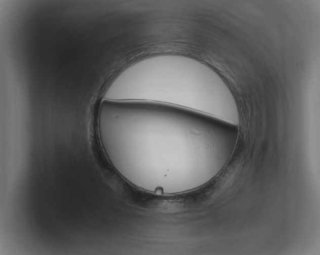 X0000102390303200808010940