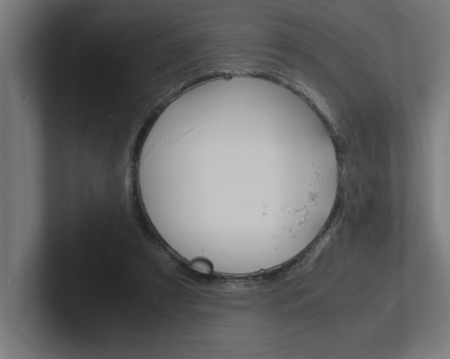 X0000102390305200808010940