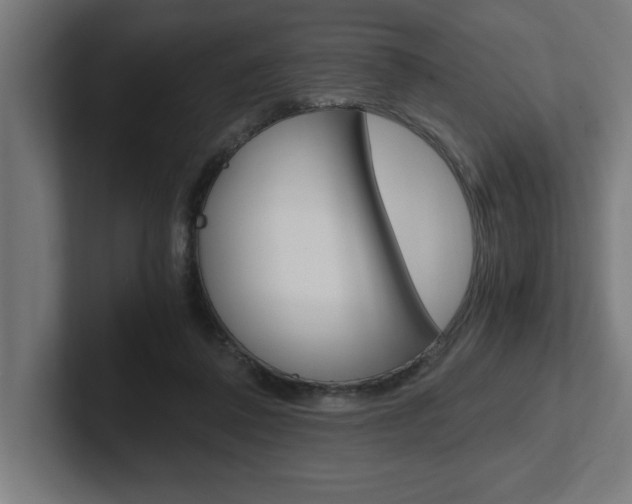 X0000102390308200808010940