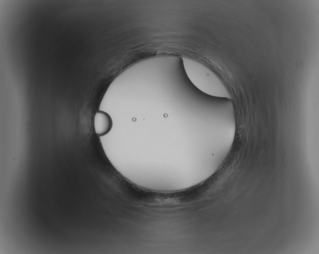 X0000102390311200808010940