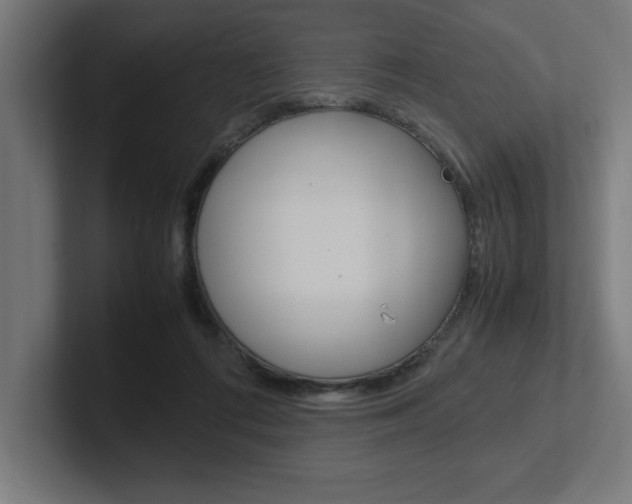X0000102390312200808010940